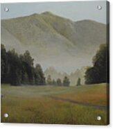 Appalachian Sandhill Cranes Acrylic Print