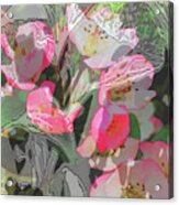 Apple Blooms At Easter Acrylic Print