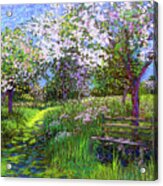 Apple Blossom Trees Acrylic Print