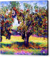 Apple Tree Orchard Acrylic Print
