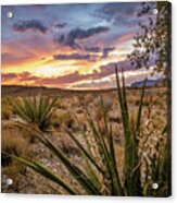 Arizona Desert Sunset Acrylic Print