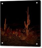 Arizona Infrared Acrylic Print