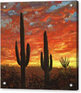 Arizona Sunset And Saguaro Cacti Acrylic Print