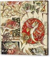 Art Nouveau Motifs And Design Elements By Anton Seder - Fantastic Fishes 2. Acrylic Print
