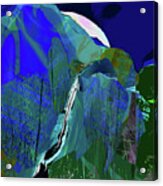 Asheville- Blue Ridge Mountain Moon Rise Acrylic Print