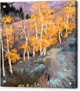 Aspens Acrylic Print