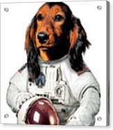Astronaut Dachshund Dog Acrylic Print