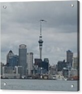 Auckland Skyline Acrylic Print