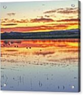 August 2020 Bosque Del Apache Sunrise Panorama Acrylic Print