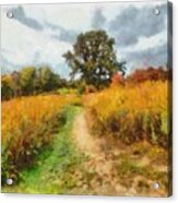 Autumn Afternoon On The Trail Acrylic Print