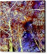 Autumn Collage Abstract Acrylic Print