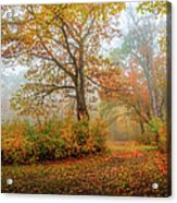 Autumn Colors 0901 Acrylic Print