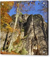 Autumn Colors In Saxon Switzerland Acrylic Print