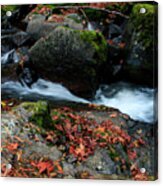 Autumn Fantasy Land 2- Sweet Creek Falls Acrylic Print