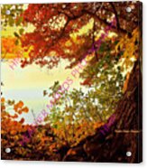 Autumn Glory Acrylic Print