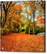 Autumn In The Country Acrylic Print