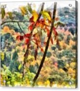 Autumn In The Valley Acrylic Print