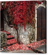 Autumn Landscape With Red Plants On A Hous Wall Acrylic Print