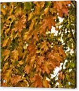 Autumn Leaves Acrylic Print