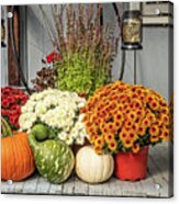 Autumn Mums And Gourds At Whitesbog Acrylic Print