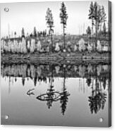 Autumn Reflection Panorama Black And White Acrylic Print