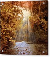 Autumn River Light Acrylic Print