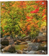 Autumn Stream Acrylic Print