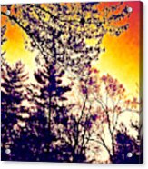 Autumn Sunrise Abstract - Thermal Effect Acrylic Print