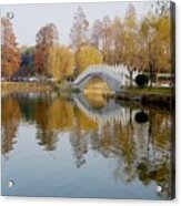 Autumn Trees And Bridges, Photographed In Wuhan, China Acrylic Print