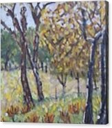 Autumn Trees In Kojori Forest In The Georgian Countryside In October Landscape Painting Falling Leaves Green Frame Trees October Autumn Leaves Fall Forest Green Autumn Acrylic Print