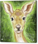 Baby Deer Face Acrylic Print