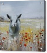 Baby Goat In The Flower Meadow Acrylic Print