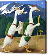 Back Quackers ... The Day Hike... Acrylic Print