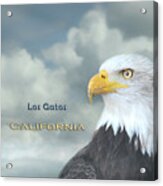 Bald Eagle Los Gatos Ca Acrylic Print