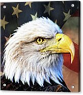 Bald Eagle With Flag Acrylic Print