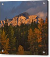 Banff Mountain Light In Autumn Acrylic Print