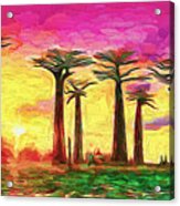 Baobab Sunset Acrylic Print