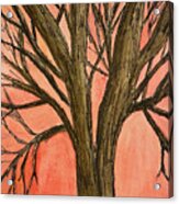 Bare Tree Sunset Acrylic Print