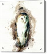 Barn Owl Perched On A Branch In An Old Barn. Digital Watercolour Painting On White. Acrylic Print
