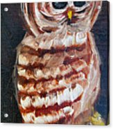 Barred Owl Acrylic Print