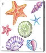 Beach Art Watercolor Sea Shells And Stars Art I Acrylic Print