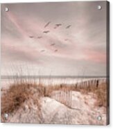 Beach Fences On The Cottage Sand Dunes In Square Acrylic Print