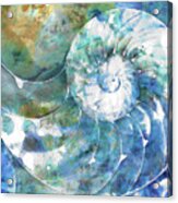 Beach Nautilus Shell Art - Sea Swept Acrylic Print
