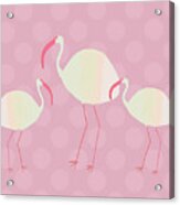 Beachy Birds Bubble Gum Ibis Family Acrylic Print