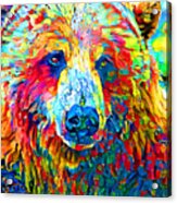 Bear In Vibrant Colors 20220131 Acrylic Print