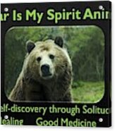 Bear Is My Spirit Animal Acrylic Print