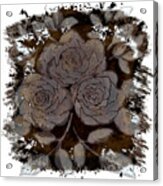 Beautiful Brown And Gray Rose Fossil Acrylic Print