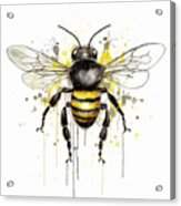 Beautiful Bumble Bee Acrylic Print