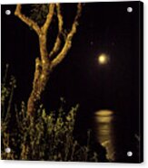 Beauty Of Our Planet - Music Of Night Acrylic Print