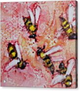 Bee Dance Acrylic Print